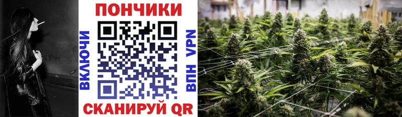 ОМГ ОМГ зеркало  Новотитаровская  Каннабис марихуана 